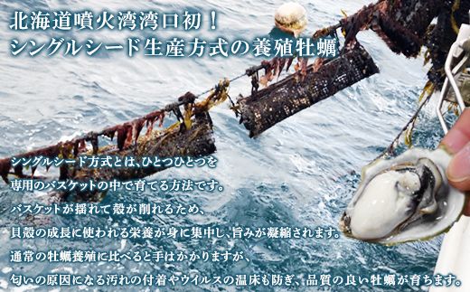 【先行予約】 2027年6月中旬頃発送発送開始！ 北海道産 生牡蠣 殻付き 1kg (15～18個) 生食 シングルシード　牡蠣 かき カキ