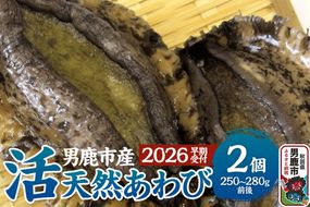 《2026年7月中旬～8月下旬発送》男鹿産天然鮑 1～3個 (約450～500g) あわび アワビ 秋田 男鹿産|23_wtr-090101