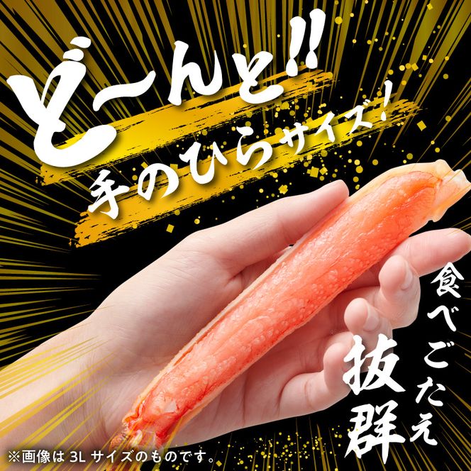カット済み生ずわいがに 1kg（3Lサイズ）×2P かに カニ ズワイガニ ずわいがに ズワイ ずわい 生ズワイガニ 生ずわいがに 蟹 カット済 ポーション 1kg 3Lサイズ 食べ応え 抜群 カニしゃぶ 雑炊 冷凍 グルメ 北海道 函館市 送料無料_HD065-011