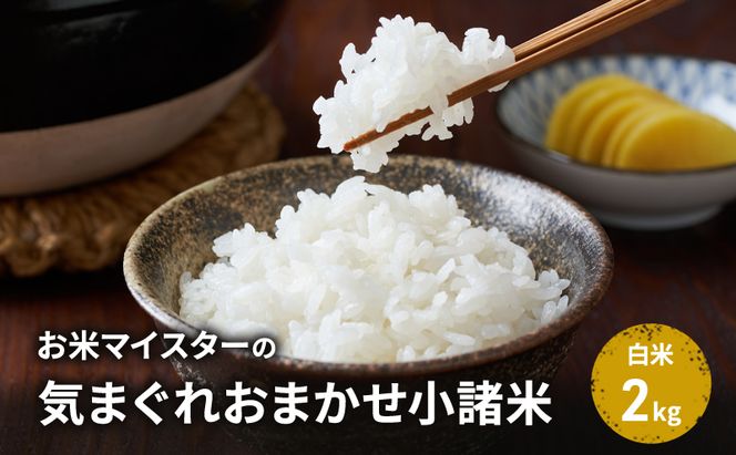 【古久庄 村松商店】お⽶マイスターの気まぐれお任せ⼩諸⽶（2kg）信州 長野 ごはん ご飯 コメ コシヒカリ あきたこまち つきあかり 風さやか ひとめぼれ ゆうだい24 ブレンド米