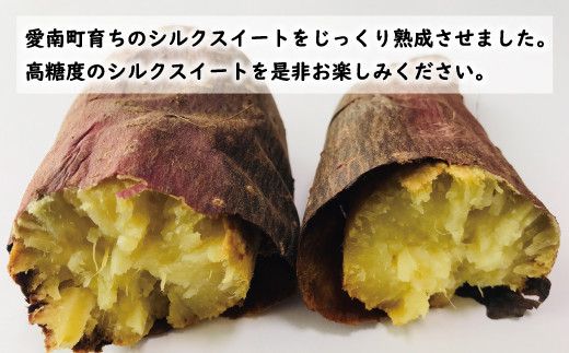 訳あり 熟成 シルクスイート 10kg サイズ混合 サツマイモ 焼き芋 干し芋 丸干し 冷凍焼き芋 冷やし焼き芋 やきいも 蜜芋 ほしいも スイートポテト フライドポテト いも天 サイズミックス  甘い ねっとり しっとり ほくほく 生芋 新芋 芋 いも 甘藷 スイーツ おかず さつまいも 国産 人気 糖度 産地直送 農家直送 数量限定 14000円 愛媛県 愛南町 ミッチーのおみかん畑