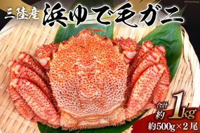 【期間限定発送】かに 三陸産浜ゆで毛ガニ 約500g×2 計1kg [村東商店 宮城県 気仙沼市 20564161] 魚介類 海鮮 三陸産 三陸 カニ 蟹 毛ガニ 毛がに 毛蟹 ボイル 浜茹で 浜ゆで 冷蔵