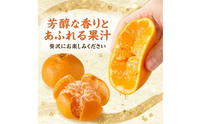 ＜2027年1月～4月上旬発送＞JAむなかたかんきつ部会が厳選したみかん（中晩柑）計3kg【JAほたるの里】_HA0281