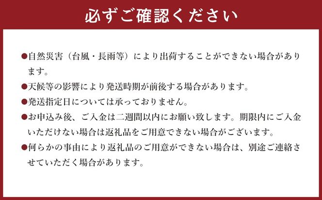 ＜宮崎県 完熟マンゴー2L×2玉 700g＞2026年4月上旬～7月上旬までに順次出荷【c1165_hi_x2】 マンゴー 完熟 果物 くだもの フルーツ 高鍋町