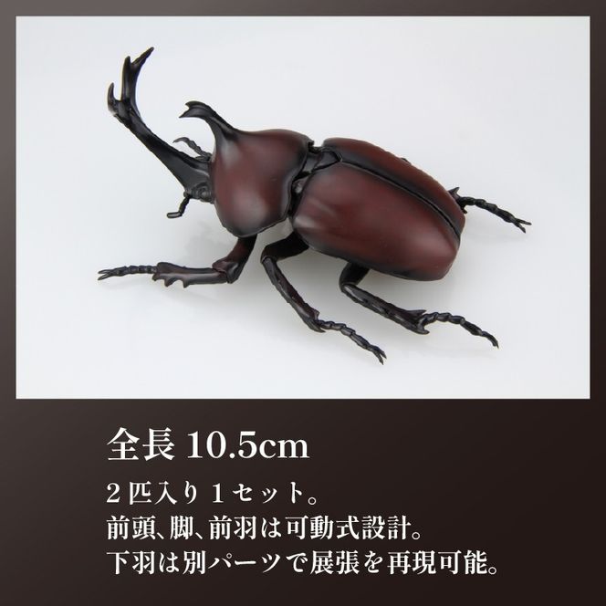 模型 昆虫 自由研究シリーズセット ヘラクレスオオカブト カブトムシ 2セット 玩具 ホビー 夏休み 虫 ヘラクレス フジミ 静岡県 藤枝市