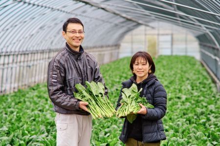 【先行受付 10月より順次発送】ほうれん草 2kg バラ詰め（大きな袋に2kg）【ハウス栽培 産地直送 クール便 佐賀県脊振山麓産】(H091117)