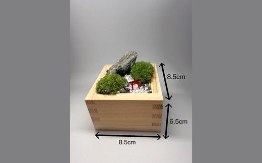 升コケ‐鳥居‐(インテリア グリーン 観葉 植物苔 こけ コケ)【002430】