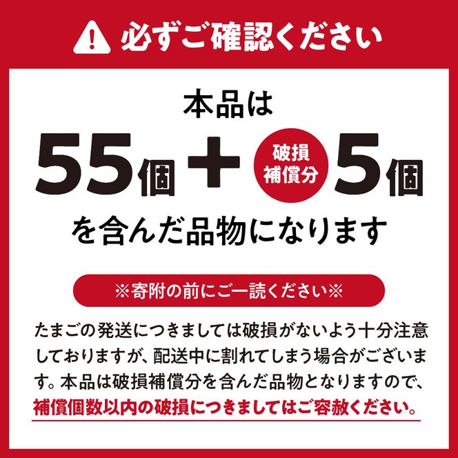 JAむなかたよりお届け！宗像たまご60個（55個＋補償5個）【JAほたるの里】_HA0916