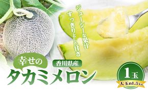 幸せの「タカミメロン」1玉（大玉） フルーツ 果物 