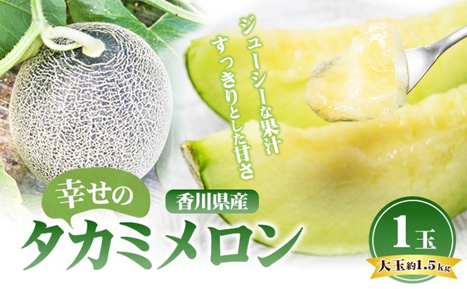 幸せの「タカミメロン」1玉（大玉） フルーツ 果物 