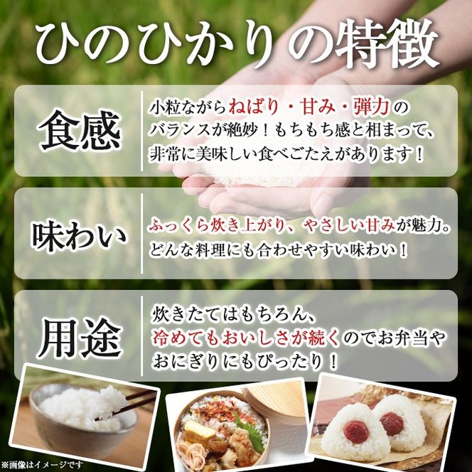 isa808 鹿児島県産ひのひかり(10kg) 国産 鹿児島県 米 お米 白米 伊佐米 【赤崎農園】