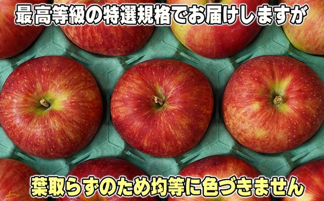 1月発送【 糖度保証 】贈答用 葉取らず サンふじ 約 5kg 【 特選 】鶴翔りんごGAP部会 青森県産 津軽産 リンゴ 林檎 果物 JGAP認証 安心 丸かじり 甘い 高糖度 ギフト 