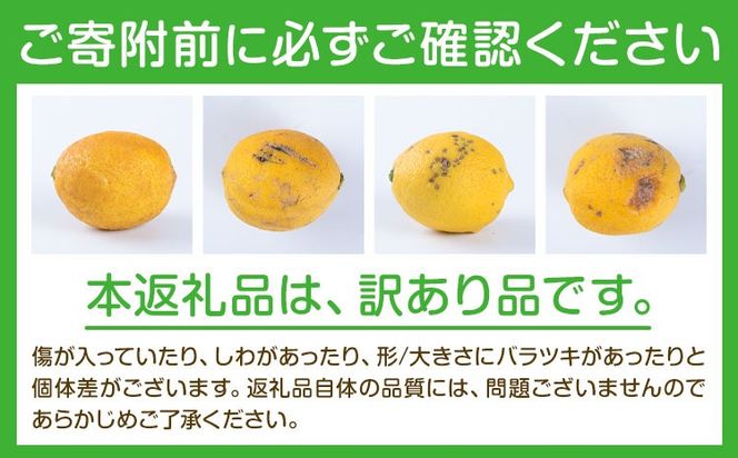 レモン 超訳ありレモン 約5kg 《2月上旬-5月末頃出荷》 和歌山県 日高川町 れもん 檸檬 柑橘 訳あり 果物 くだもの フルーツ 青果物---wshg_dsk97_2j5m_26_7000_5---