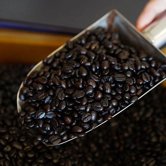 ロイドコーヒースペシャルブレンド（豆）500g（250g×2個）自家焙煎コーヒー