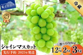 【2025年先行予約】山梨県産 シャインマスカット フルーツ シャインマスカット 果物 旬 高級 山梨 富士吉田