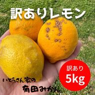 訳あり 国産 レモン 5kg (32~40玉) DJ064