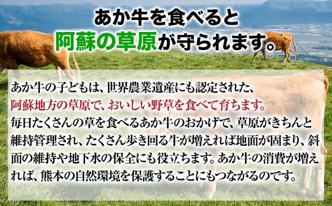 チーズインハンバーグ 約1.2kg 150g×8個 長洲501《30日以内に出荷予定(土日祝除く)》あか牛 熊本県 長洲町---sn_fsrcahb_30d_24_18000_1200g---