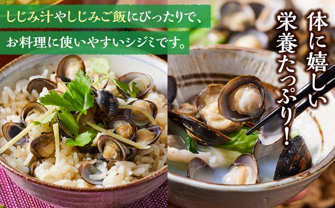 漁師直送！宍道湖産ヤマトシジミ・希少なLLサイズ・冷凍2kg 322032_EN007