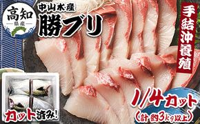 ぶり カット済 1/4カット 計3kg以上 ny-0017