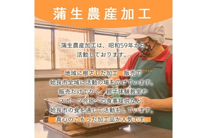 a737 北海道産小豆使用！皮ごとつぶして作った「こしあん」(合計3.3kg・300g×11袋)【蒲生農産加工】姶良市 和菓子 スイーツ こし餡 おしるこ ぜんざい お団子 おはぎ 常温 常温保存