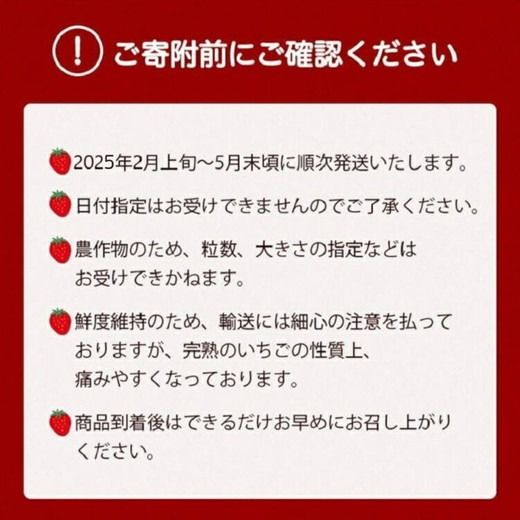 【数量限定】高級 京いちご 内容量 約2,000g（250g 8パック）【紅ほっぺ おいCベリー スターナイトから厳選してお届け】訳あり 完熟 朝採れ ※離島への配送不可 ※2025年2月上旬～5月下旬頃に順次発送予定