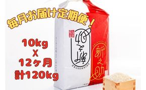 【通年受付】令和7年産魚沼産新之助　精米10kg（5kgx２袋）全12回 十日町市 十日町 米