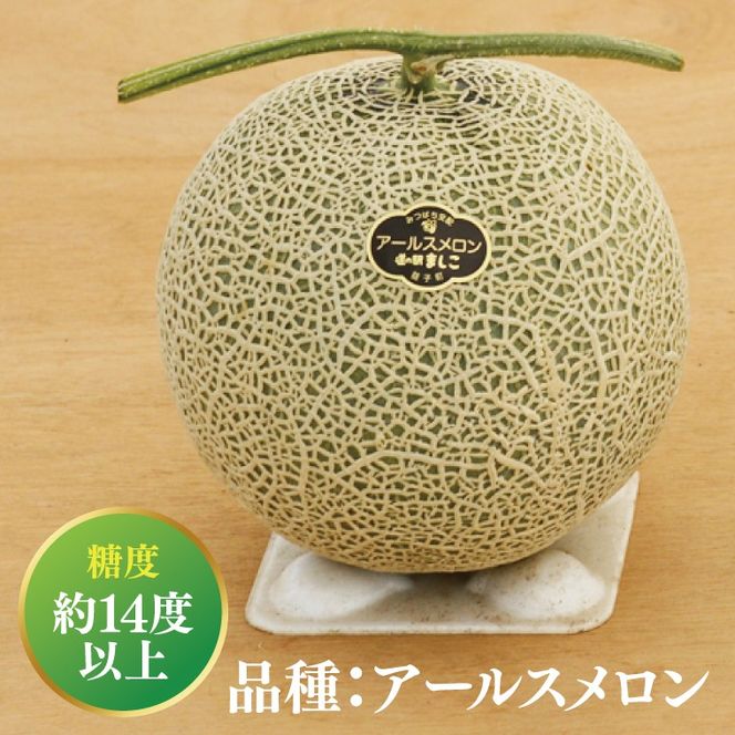 【数量限定】アールスメロン1玉｜青肉・高糖度｜なめらかで上品な甘さ｜メロンの王様｜メロン　ご褒美　デザート　ギフト　益子町　（AA040）
