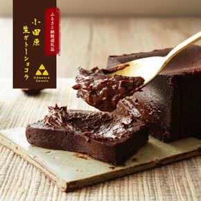 極上の口溶け。幸せの生ガトーショコラ 300g【 高級 濃厚  極上スイーツ グルテンフリー チョコ ショコラテリーヌ 高品質クーベルチュールチョコレート使用 一流シェフ 神奈川県 小田原市 】 142069_DW002