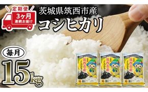 【 定期便 3ヶ月 】 茨城県筑西市産 コシヒカリ15kg 三ツ星 マイスター 米 コメ コシヒカリ こしひかり 茨城県 単一米 精米 新生活 応援 [CH016ci]