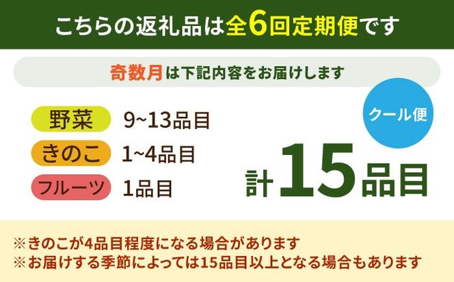 【6回定期便】【奇数月コース】豪華！野菜 セット 15品目以上 6回 定期便 フルーツ キノコ 詰め合わせ / 南島原市 / 吉岡青果 [SCZ002]