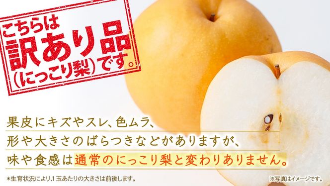 ＜ 訳あり ＞ にっこり 約5kg 【2026年10月より発送開始】（茨城県共通返礼品 [梨]：大子町産） ご家庭用 フルーツ なし ナシ 和梨 梨 わけあり 果実 旬のフルーツ お取り寄せ くだもの 果物 みずみずしい