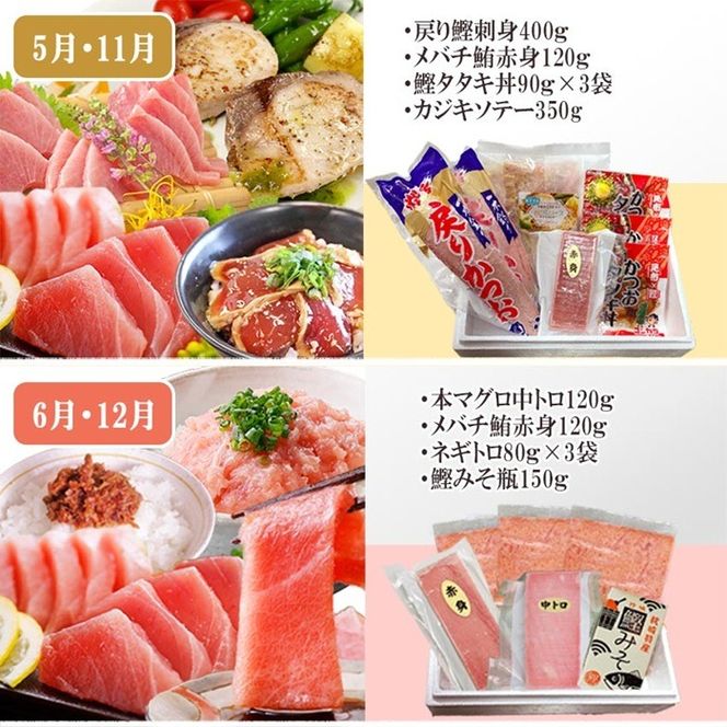 枕崎・お魚よりどり詰め合わせ定期便(6回配送)　FF-6005 【1496265】