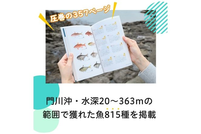 新・門川の魚図鑑と魚かるたセット！お魚 知育 学習 本 書籍 玩具 おもちゃ カードゲーム【AI-4】【門川町地域振興課】