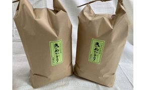 令和7年産　近江米　キヌヒカリ【10kg（5kg×2袋）】環境こだわり米【AB63W】