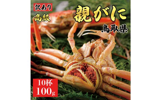 y挧khz1073.y2025N11z挧Y  e pyZRKjzi䥁jy󂠂z100g 10t 313726_BS081