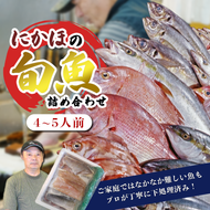 鮮魚 冷蔵 クール便「 開けたらすぐ食べられる下処理済み 海産物 4～5人前 セット 」佐藤鮮魚店【 パック 詰め合わせ 海鮮セット 鮮魚ボックス 海鮮 海の幸 魚介 魚介類 刺身 切り身  秋田県 にかほ 】
