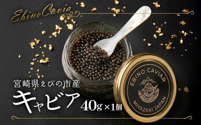 【ふるさと納税】キャビア 国産 40g 冷凍 宮崎県 えびの市産