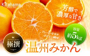 みかん 約5kg  極撰！ 温州みかん 濃厚 甘い 家庭用 香川 高松 先行予約 フルーツ 果物 くだもの 新鮮 美味しい 食品 人気 おすすめ 冬 旬 11月上旬より順次発送 372013_GM010