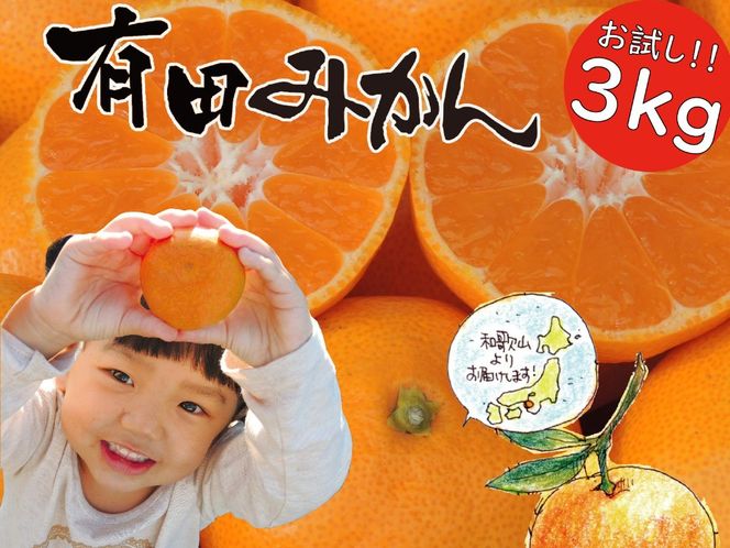 【先行受付】はじめまして 有田みかん 3kg　和歌山県有田川町産　お試し・味重視 BA22