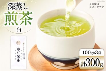 お茶 八女茶 極上煎茶・白（深蒸し煎茶）300g(100g×3袋) [Esprit 福岡県 筑紫野市 21760772] 茶 緑茶 深蒸し まろやか カテキン 前茶