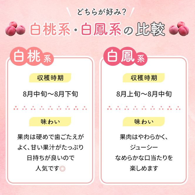 【2026年発送】志賀高原の麓で育った 桃（白鳳系）特秀10玉 約2.5kg 桃 もも 白鳳 フルーツ 果物 デザート 長野