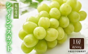 ぶどう 2026年 先行予約 シャイン マスカット 1房 約500g ブドウ 葡萄  岡山県産 国産 フルーツ 果物 ギフト