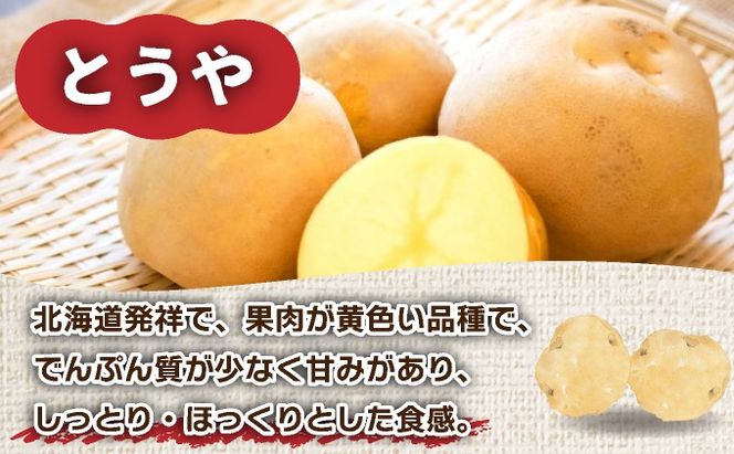 ＜先行予約＞北海道産 じゃがいも(とうや) 約5kg | ジャガイモ 馬鈴薯 ポテト 芋 イモ 国産 野菜 人気 ふじいファーム