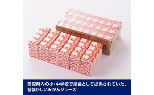 サンAみかんジュース100%　125ml紙パック×24本×2ケース 【 ふるさと納税 飲料 オレンジ ジュース みかん ミカン 温州みかん 紙パック 川南町 国内産 九州 宮崎県 送料無料 】 [C03026]