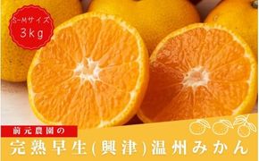 S-Mサイズおまかせ 前元農園の完熟早生(興津)温州みかん 3kg【12月初旬～下旬に順次発送】 / フルーツ 早生 興津 温州 みかん 蜜柑 三重県 高品質 みえ アルギット【mmg018B】