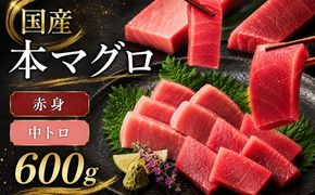 【2-134】国産本まぐろ中トロ赤身冷凍短冊セット　600ｇ以上