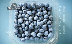 北海道 洞爺湖町産 フレッシュ ブルーベリー 500g 2パック 計1kg 7月20日から順次お届け 先行予約 北海道産 ブルーベリー 果物 果実 フルーツ 新鮮 国産 ベリー 農作物 お取り寄せ 冷凍 長期 保存 洞爺湖町