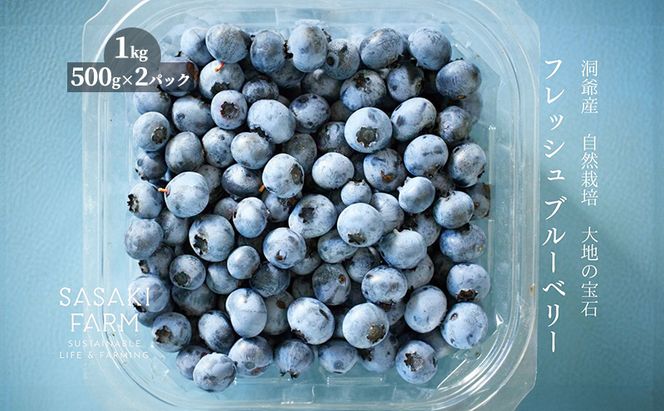 北海道 洞爺湖町産 フレッシュ ブルーベリー 500g 2パック 計1kg 7月20日から順次お届け 先行予約 北海道産 ブルーベリー 果物 果実 フルーツ 新鮮 国産 ベリー 農作物 お取り寄せ 冷凍 長期 保存 洞爺湖町