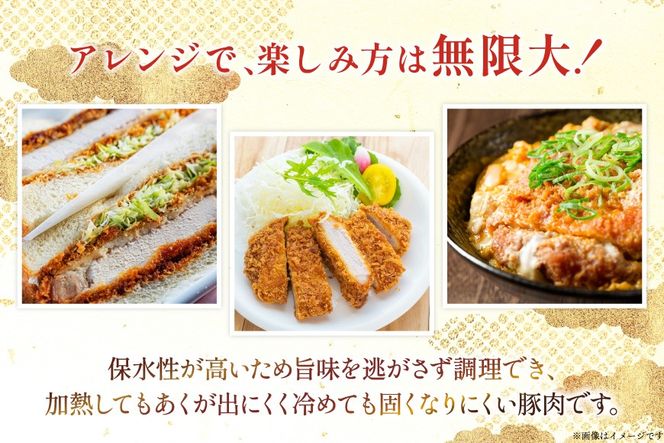 豚肉 ロース 宮崎県産 豚肉ロースカツ用 30枚 セット [TRINITY 宮崎県 日向市 452061323] 小分け 冷凍 豚 とんかつ ロースカツ お弁当 おかず