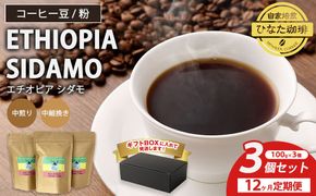 【12カ月定期便】コーヒー 豆 粉（エチオピア シダモ 中煎り 中細挽き）100g × 3個セット | ミディアムロースト ギフトBOX付き コーヒー 珈琲 自家焙煎 ひなた珈琲 幸田町 送料無料